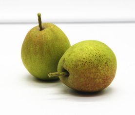 balaam巴郎 新疆特产库尔勒香梨 正宗原产地采摘新鲜水果 梨子4.4斤全国包邮
